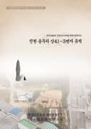 진천 송두리 산41-3번지 유적