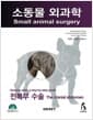 소동물 외과학: 전복부 수술