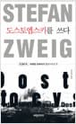 [큰글씨책] 도스토옙스키를 쓰다 