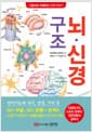 뇌·신경 구조