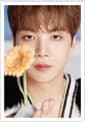 DICON D’FESTA NUEST 1 : JR - Dispatch 10th Anniversary