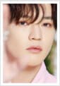 DICON D’FESTA NCT DREAM 6 : CHENLE - Dispatch 10th Anniversary
