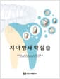 치아형태학실습 (스프링)