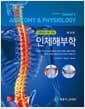 인체해부학