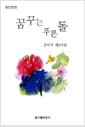 꿈꾸는 푸른 돌 - 김의식 제2시집