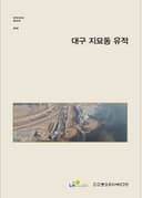 대구 지묘동 유적