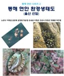동해 연안 환경생태도(울산 선암)